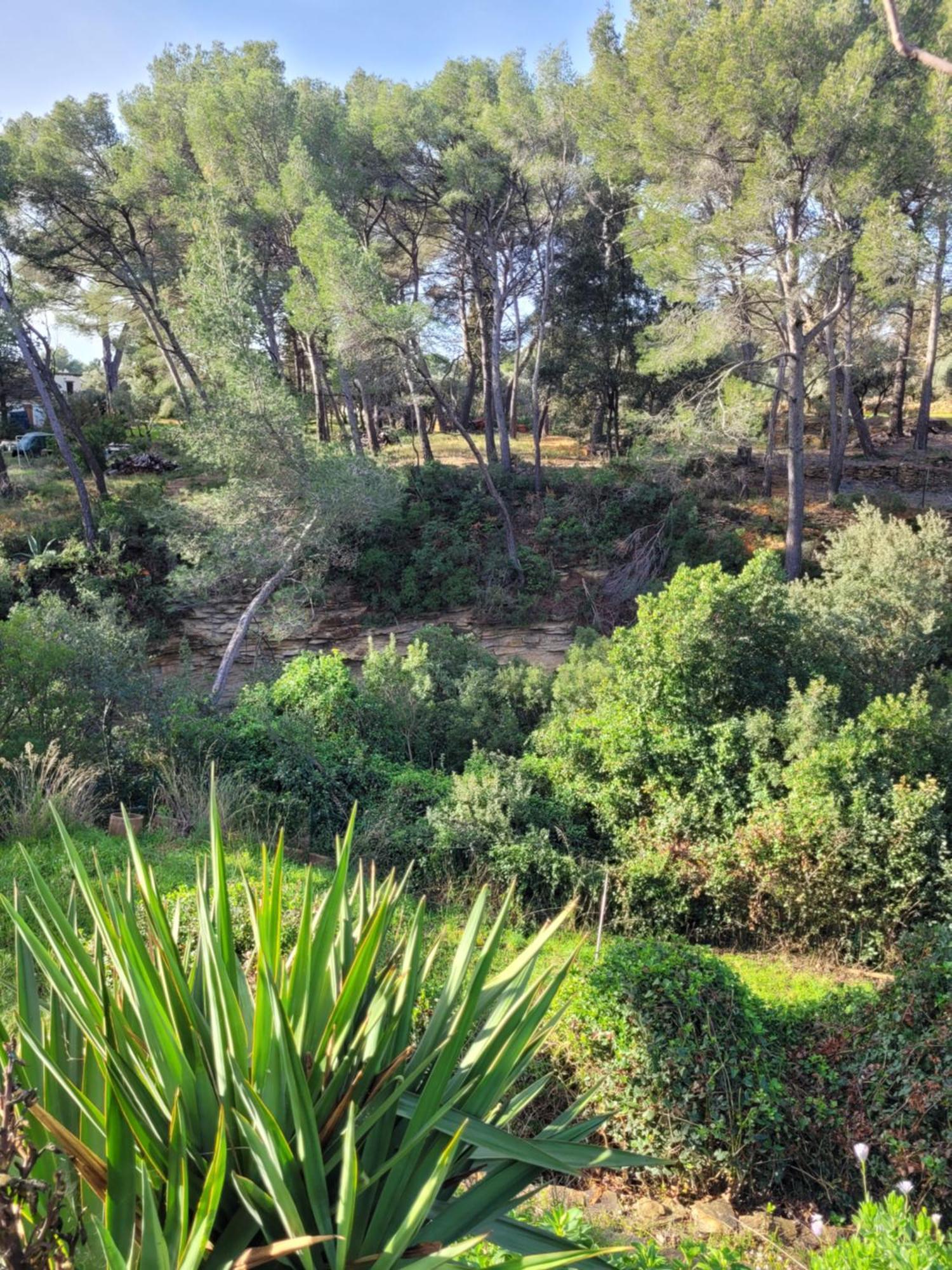 Le Repaire De La Cadiere A 5Mn Des Plages ! Saint-Cyr-sur-Mer Zewnętrze zdjęcie